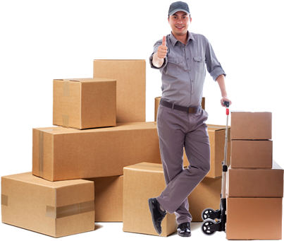 Vanshu Cargo Packers and Movers-img